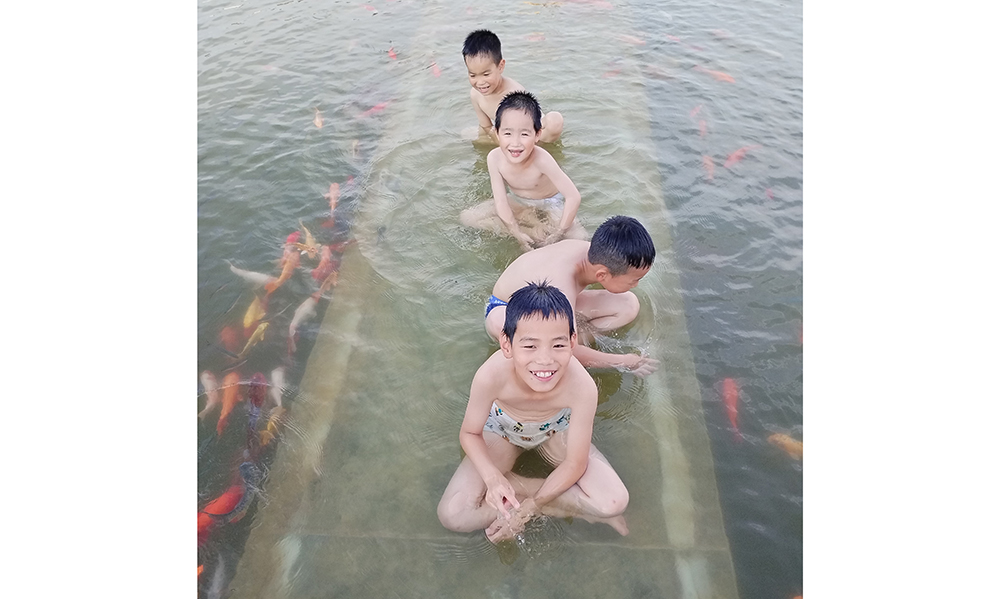 凌波微步