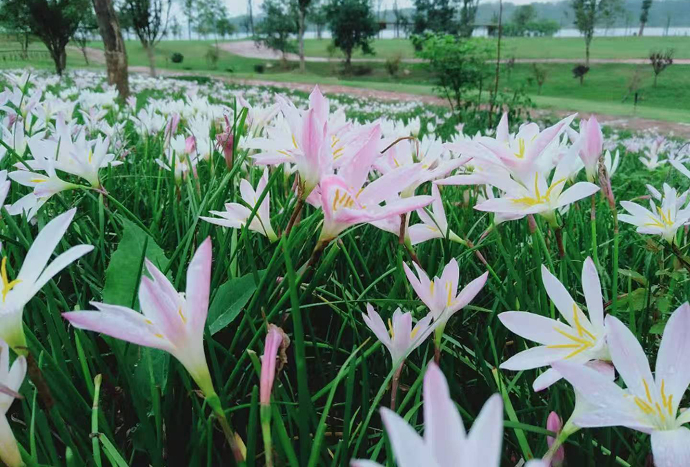 月亮湾